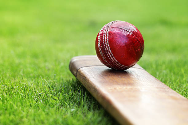 How to start cricket betting