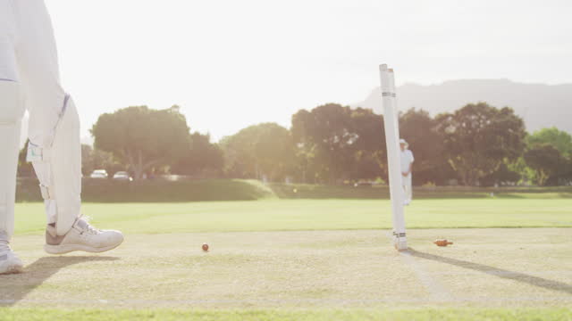 IPL’s Contribution to Cricket Ground Air Pollution Management Practices