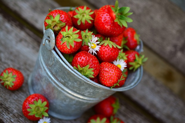 The Art of Food Plating: How to Make Your Dishes Look Beautiful