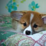 99exch Review: Complete Guide to India’s Leading Crypto Exchange