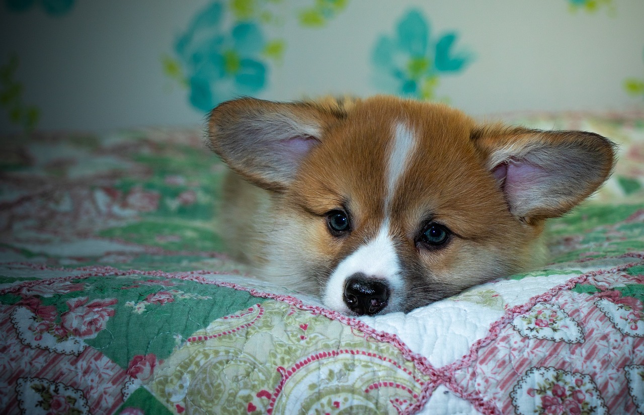 99exch Review: Complete Guide to India’s Leading Crypto Exchange